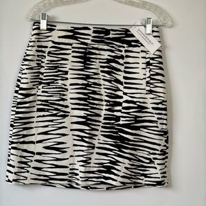 Banana Republic Skirt